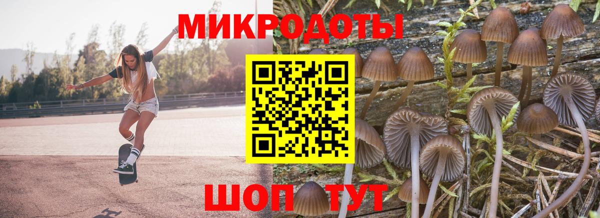Галлюциногенные грибы прущие грибы  Галлюциногенные грибы Psilocybe  наркота  Вход с VPN  Тайшет 