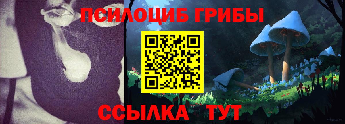 Псилоцибиновые грибы мухоморы Тайшет